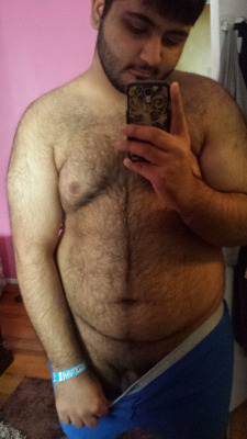 desi gay bear