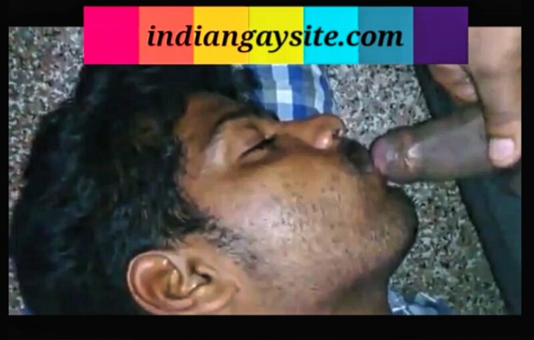 desi gay video