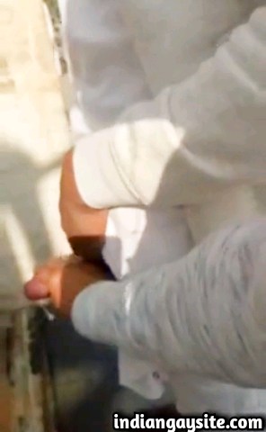 Desi gay video of a horny Haryanvi hunk getting a handjob at a public toilet