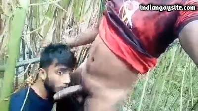 Outdoor cock sucking fun with a horny man