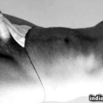 Hairy horny daddy teasing his sexy nude gay pics