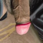 Erect and rock hard telugu dick