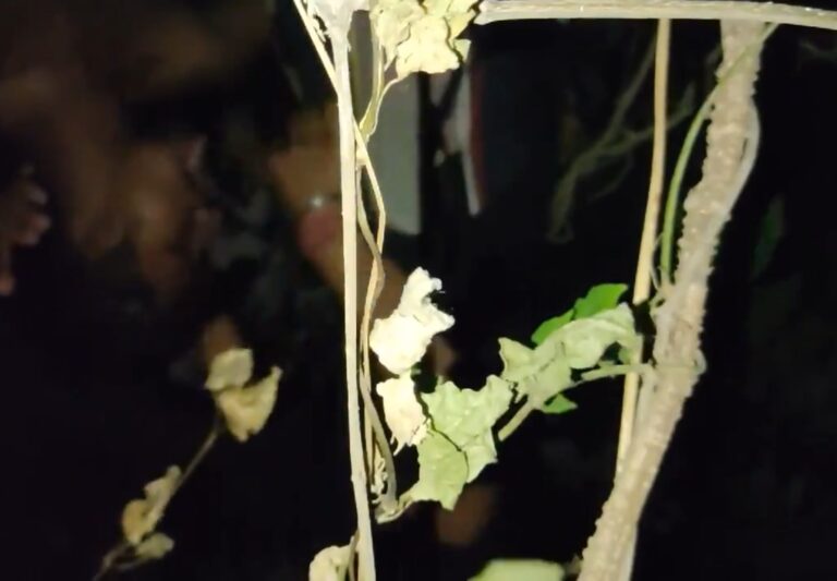 Outdoor midnight cruising with a wild dom top