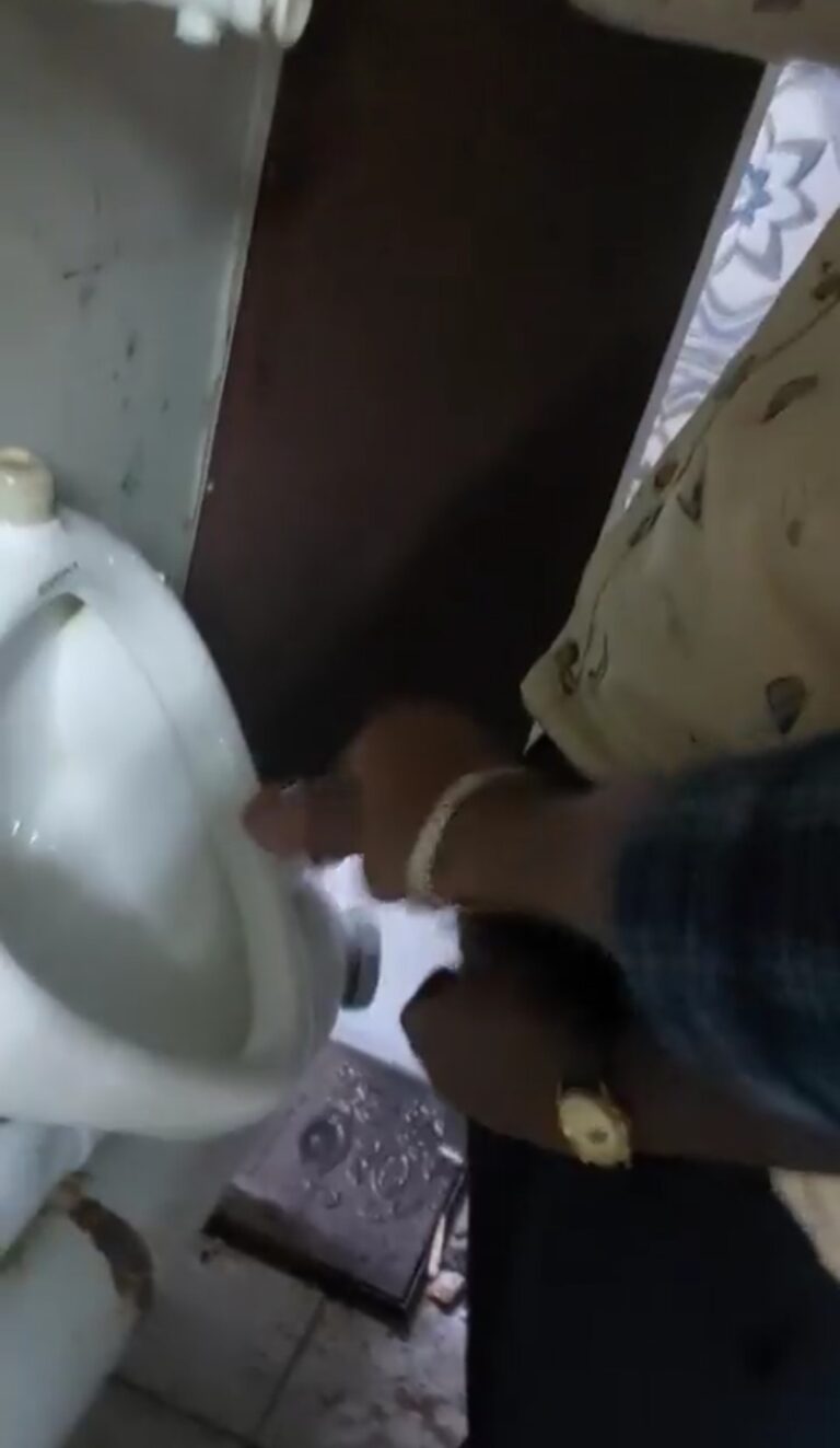 Handjob toilet fun with horny big dick stranger