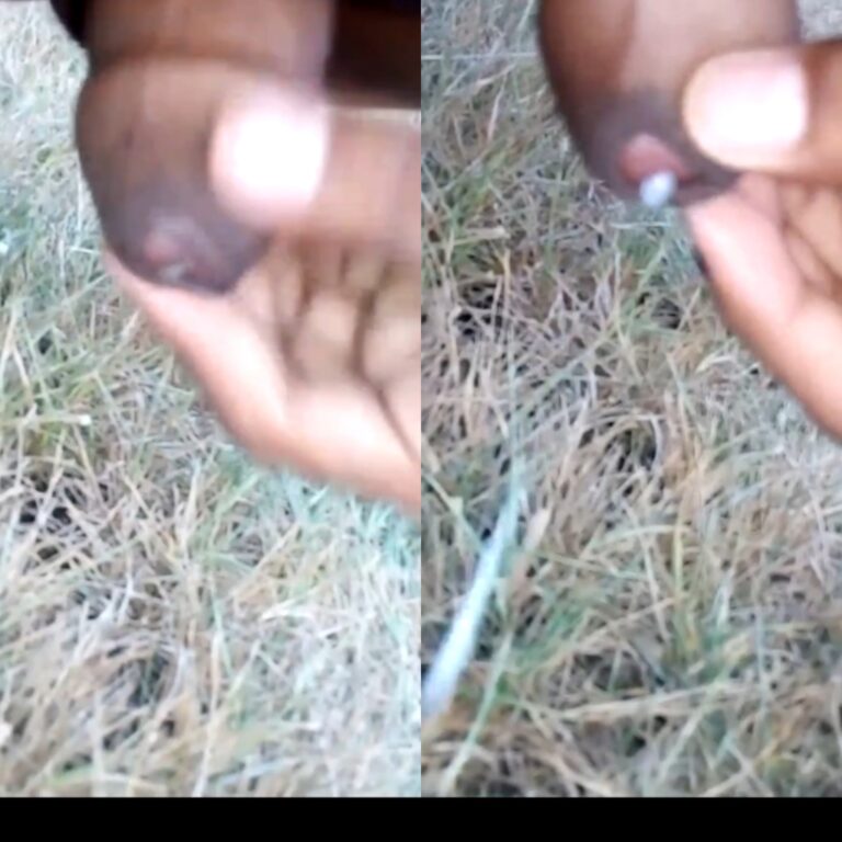 Outdoor handjob video