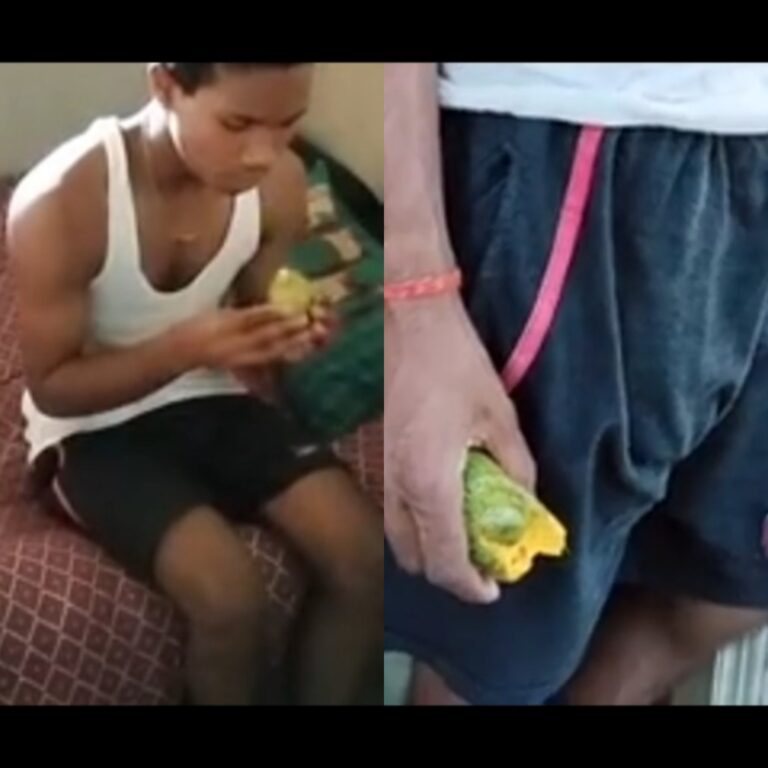 Innocent boy tricked
