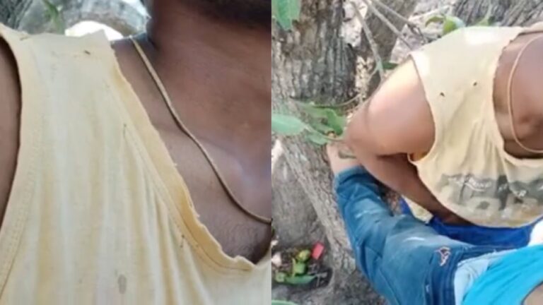 Outdoor sex tree sex